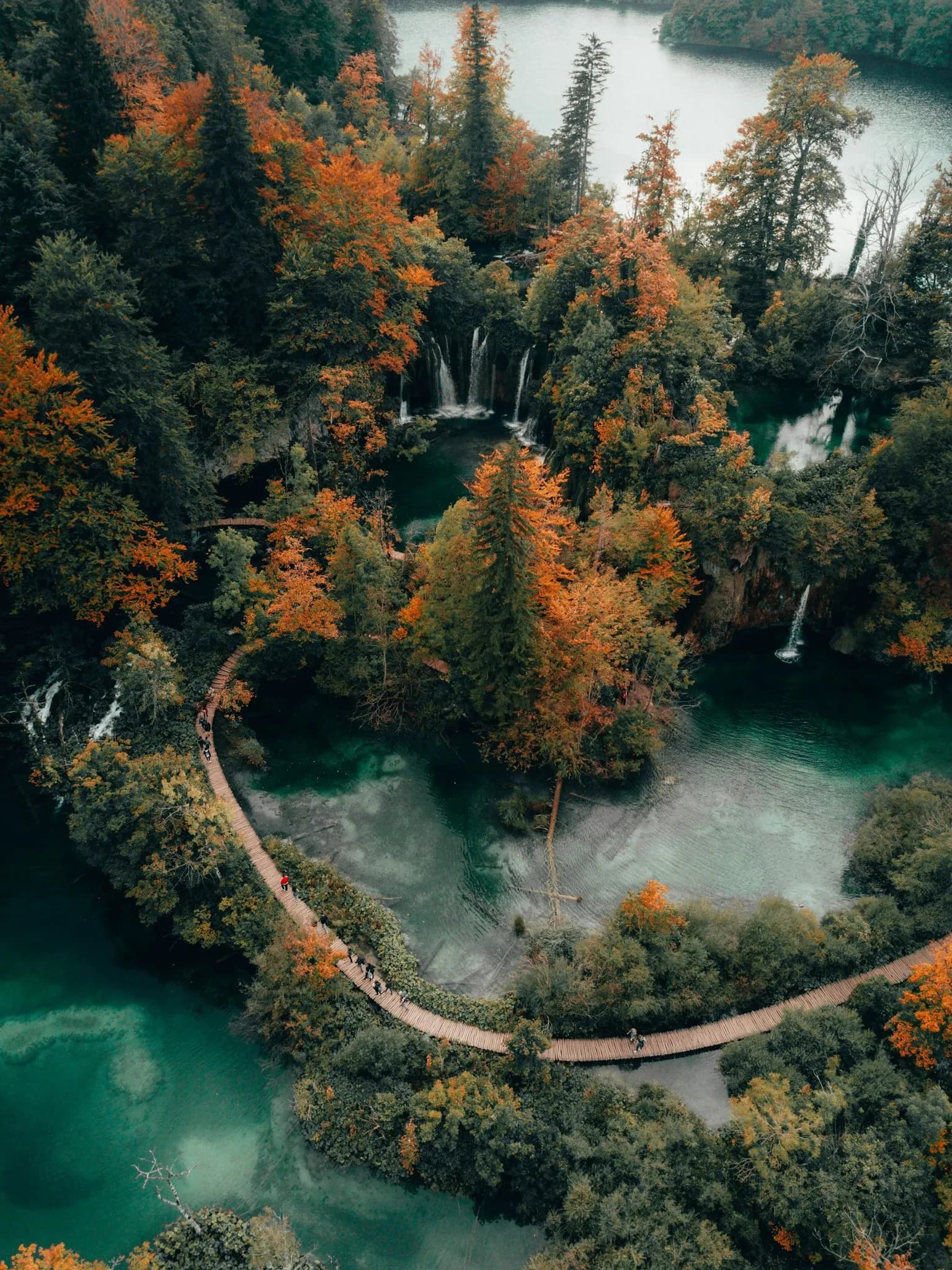Wooden boardwalks between the turquoise pools and autumn forest at Plitvice Lakes.