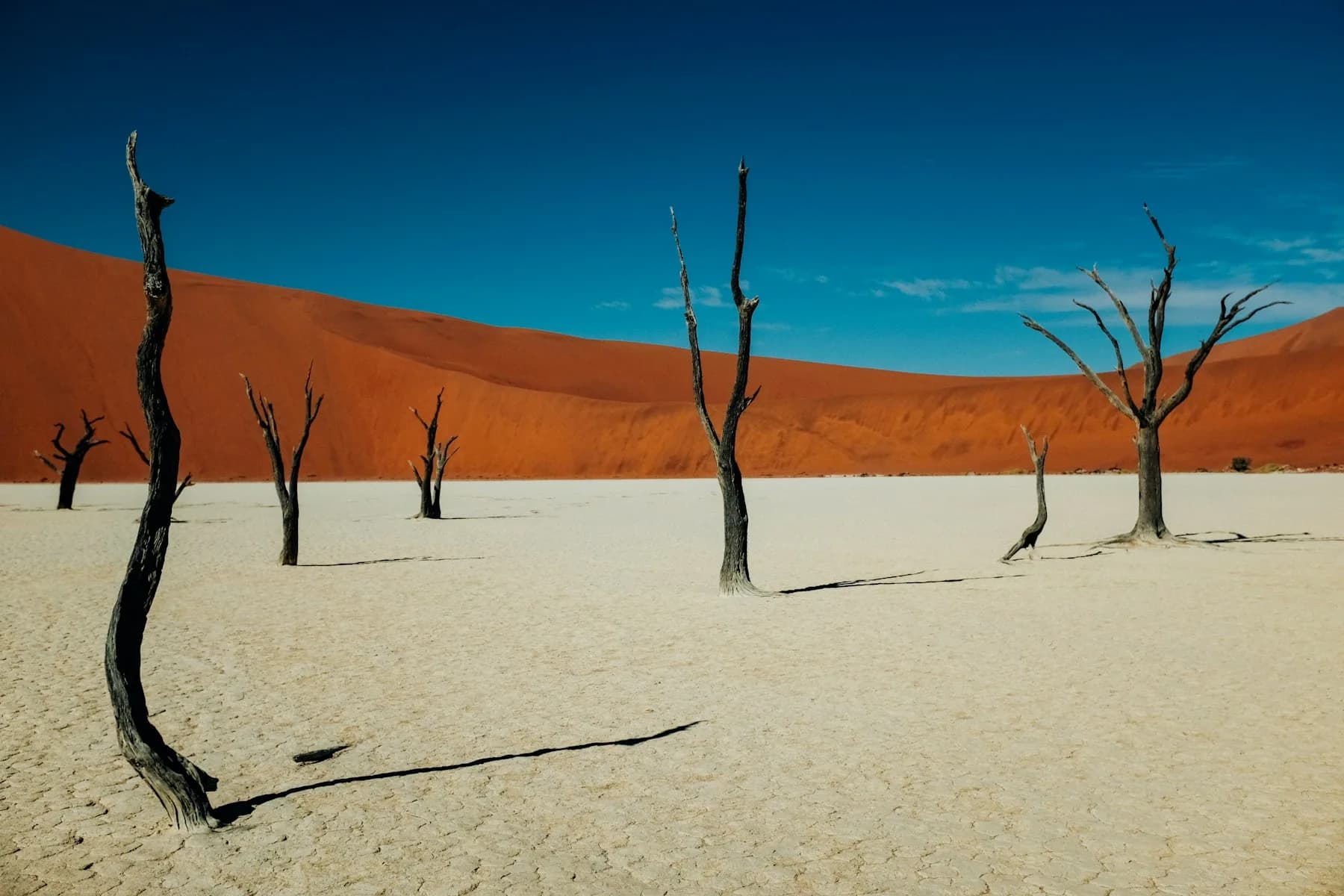Africa: 12 spots, from Chefchaouen to Table Mountain. Pictured: Deadvlei.